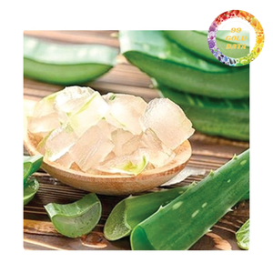 เจลลี่ว่านหางจระเข้เวียดนาม | พร้อมรับประทานหรือทำน้ำผลไม้และของหวาน | ต้นกำเนิดของเวียดนาม - Product Image 1