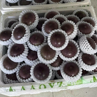 Pomme étoilée vietnamienne de haute qualité, fruit tropical frais et sucré pour les importateurs et les chaînes de vente au détail