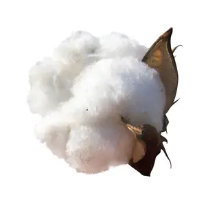 Material de fibra de celulosa de pulpa de algodón suelta y hojas de alta calidad del fabricante Pulpa de algodón a la venta