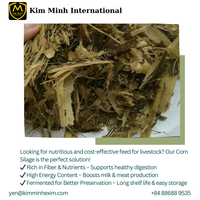 Silage de maïs de qualité alimentaire au meilleur prix pour l'alimentation des chevaux, haute humidité, origine Vietnam