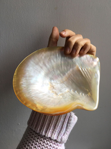 Assiette de fruits en nacre, assiettes écologiques de table, ensembles de vaisselle, emballage personnalisé du Vietnam fournisseur - Product Image 6