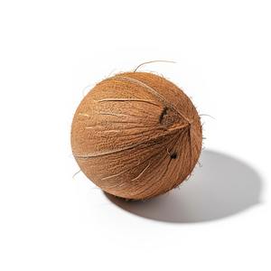 มะพร้าวผู้ใหญ่ที่ปลูกในฟาร์มที่มีปริมาณน้ำและเนื้อของน้ำคุณภาพสูงสำหรับดีลสุดพิเศษสำหรับตลาดอาหารทั่วโลก - Product Image 2