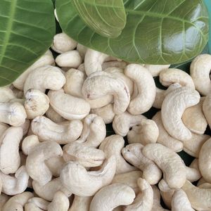 Vente en gros Prix bon marché de noix de cajou W180 Qualité commerciale Santigo Vietnam Usine Délai court - Product Image 1