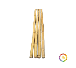 Postes de bambú grandes naturales de 300cm de longitud estacas de árbol rectas con ramas para decoración directamente de Vietnam - Product Image 2