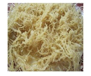 Eucheuma cottonii สาหร่ายไอริชมอสจากทะเลธรรมชาติคุณภาพเยี่ยม - Product Image 3