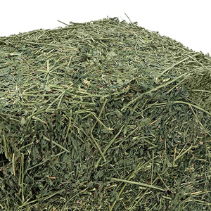 Nouveau foin de luzerne prêt à l'approvisionnement Foin de luzerne à haute teneur en protéines pour l'alimentation animale Prix bon marché - Product Image 4