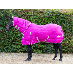 Protection contre le froid pour les chevaux facile à utiliser avec des tapis d'intérieur stables qui offrent un confort quotidien et un nettoyage rapide - Product Image 6