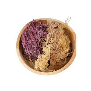 ¡Oferta caliente! Excelente musgo marino de algas secas Eucheuma Cottonii de Vietnam al por mayor al mejor precio - Product Image 4