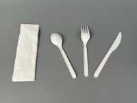 Nouveaux couverts écologiques compostables CPLA couteau fourchette cuillère ensemble pour la restauration