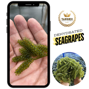 RAISON DE MER BIOLOGIQUE DÉSHYDRATÉ du Viet Nam Nourriture végétalienne pour salade Huîtres Emballage Sac à fermeture éclair Style séché au détail Origine Vietnam - Product Image 2