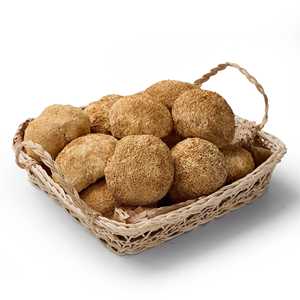 Dried <b>Lion</b> <b>Mane</b> Mushroom for <b>Tea</b> Soup & Food Processing | Vietnam Bulk Supplier - Product Image 1