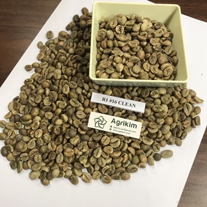 Granos de Café Robusta de Alta Calidad, Grado 18 Verde, Procesados, Precio Directo de Fábrica. Contactar a la Sra. Doris +84 35 254 2206 - Product Image 6