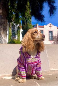 Jerga Pull style classique et moderne pour animaux de compagnie Collection été en coton polyester et flanelle - Product Image 6