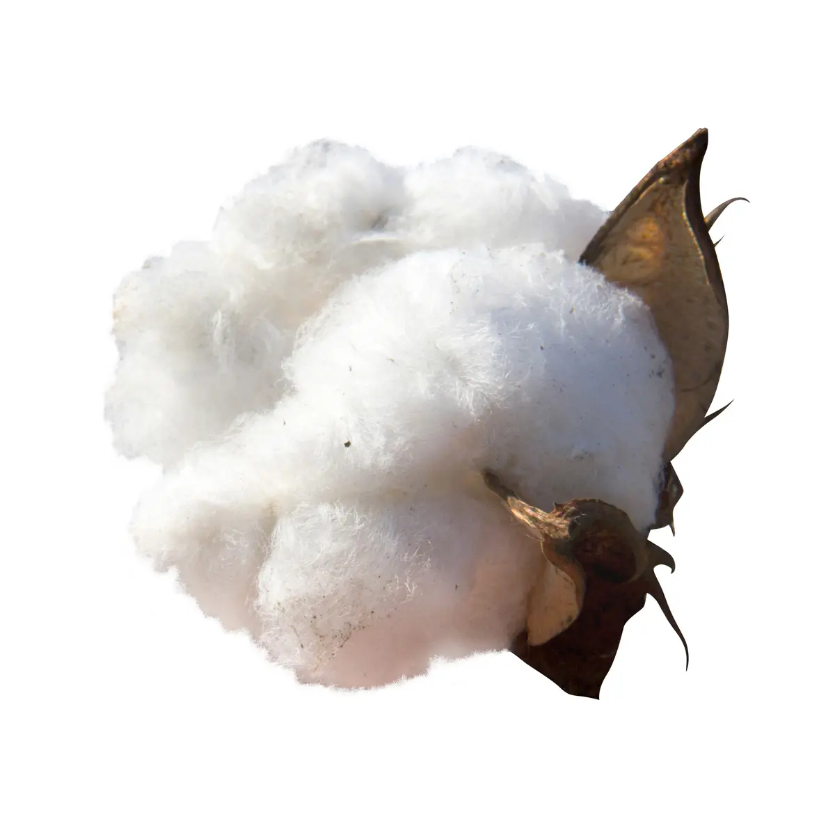 Hochwertige lose und blätter Baumwoll-Linterzellstoff in Großgebinden weltweit versand Baumwoll-Linterzellstoff