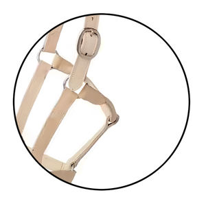 Licol en cuir de selle anglaise fabriqué à la main de qualité supérieure réglable durable avec entraînement rembourré doux utilisation quotidienne élégant confortable - Product Image 6