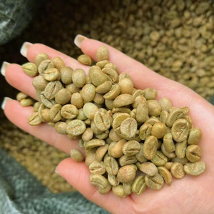 High Quality Vietnam Specialty Robusta <b>Roasted</b> <b>Coffee</b> <b>Beans</b> Size 16 100% Natural USDA Certified Bulk Export Supplier - Product Image 1