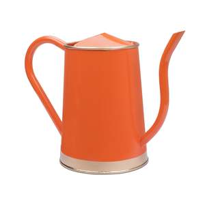 Fabricant d'arrosoir en métal en fer fait à la main de concepteur Conception personnalisée Fournisseur d'arrosoir pour plantes vertes - Product Image 5