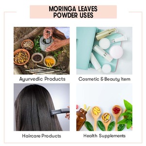 Extracto de hoja de Moringa a granel al por mayor, polvo de hoja de Moringa orgánico a granel | 100% polvo de extracto de hoja de Moringa orgánico Natural puro - Product Image 4