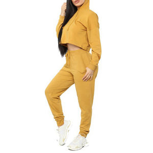 Conjunto de chándal de patrón sólido para mujer, venta al por mayor, Top corto con capucha, ropa deportiva, chándal con capucha de dos piezas Essentials - Product Image 1