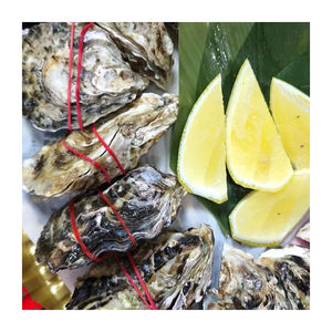 Carne de ostra japonesa a precio de descuento, ofrecida para suministro a granel para distribuidores. - Product Image 3