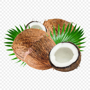 Vietnam-Delta-El MEJOR PRECIO DE COCO semicubierta seco para uso alimentario - Product Image 1