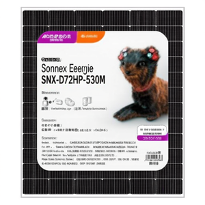 Panneau solaire Sonnex Energie SNX-D72HP-530M - Product Image 2