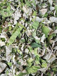 Herbe culinaire polyvalente en poudre de feuilles de lotus séchées vietnamiennes de haute qualité pour la cuisson du thé directement de source agricole - Product Image 5