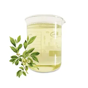 Our essential oil factory provides pure tea tree oil in bulk for OEM/ODM purposes