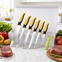 Ensemble de 6 couteaux de cuisine à code couleur, lames en acier inoxydable avec éplucheur, couteau de chef, coffret cadeau, couteaux colorés, vente en gros