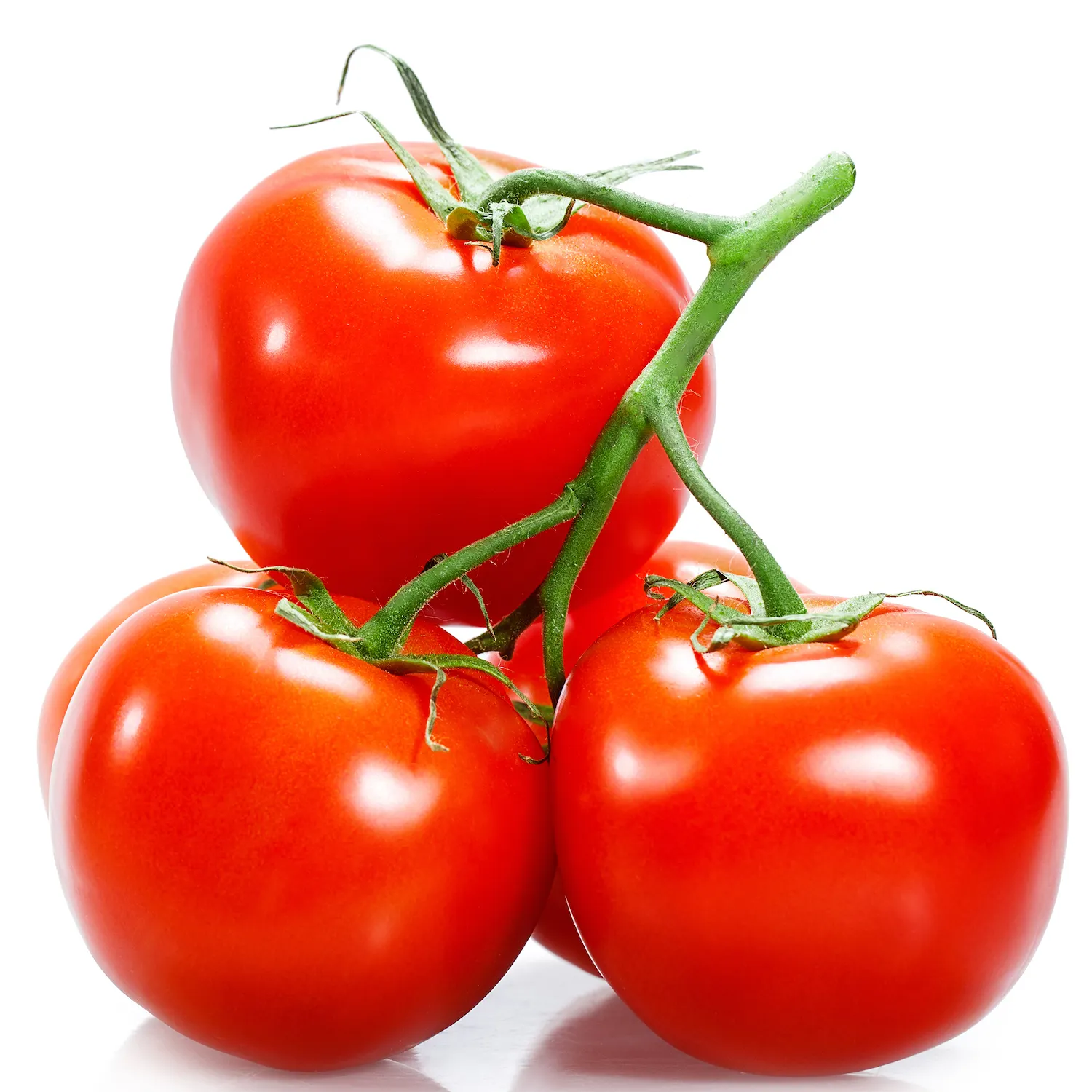 Tomate rouge fraîche délicieuse de haute qualité à vendre