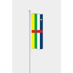 Drapeau vertical de la République centrafricaine imprimé numériquement sur mât en aluminium pour extérieur, pour l'assurance automobile et l'éducation - Product Image 1