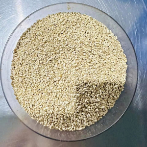 Anacardos naturales rotos, deliciosos y saludables, hechos en Vietnam - Product Image 3