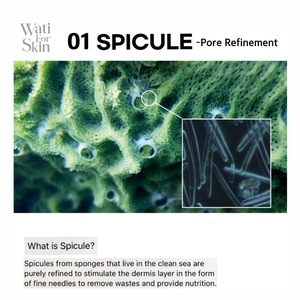 Esencia Propóleo Micro Spicule 100 - Product Image 5