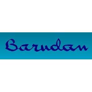 Barudan Stickmaschinen GmbH logo