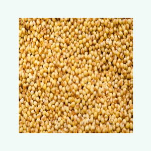 Factory Price Organic Roasted Yellow <b>Millet</b> Top-quality Ready for Wholesale Distribution and Export - Product Image 3