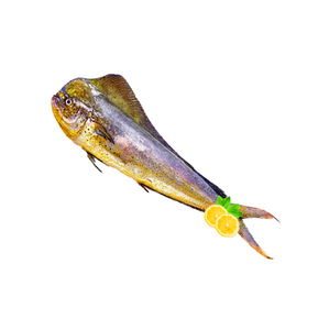 Frozen Whole Mahi-Mahi <b>fish</b> Size 1000gr Up High Quality Best Wholesale Price In Belgium. - Product Image 6