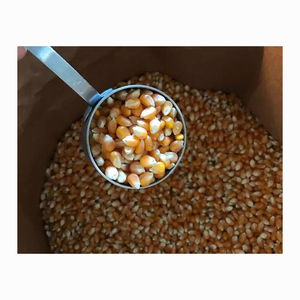 Maíz Amarillo Orgánico y Fruta de la Pasión, Granos Secos Puros en Bolsas de 25 kg para la Industria Alimentaria Humana con Alta Pureza y Sabor Natural - Product Image 5