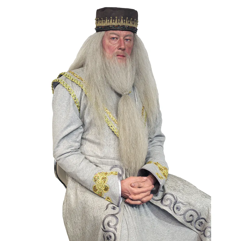 Projeto do museu da cera por atacado personalizado dumbledore tamanho da vida celebridade figura de cera para exibição