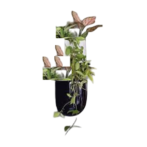 Color blanco y negro capa de polvo acabado hierro colgante flor pared colgante maceta cubo para barandilla balcón decoración de jardín - Product Image 6