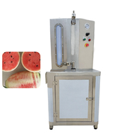 Machine à éplucher la citrouille de pastèque Éplucheur de melon d'hiver