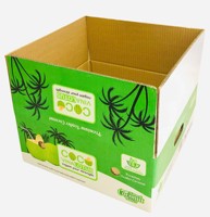 Revêtement UV 2 faces Matériaux recyclés Carton ondulé Sécurité alimentaire Vietnam Boîte en carton de noix de coco Agriculture