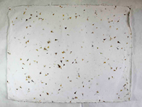 Papier de coton recyclé fait à la main de couleur crème de haute qualité pétales de fleurs feuilles d'art et d'artisanat