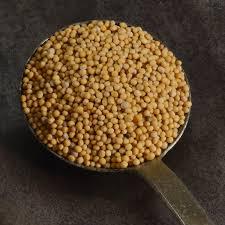 Especias de cocina esenciales de semillas de mostaza amarilla de alta calidad - Product Image 4