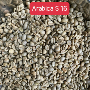 [Producto de Alta Demanda] Granos de Café Verde Arábica, Proceso de Lavado Completo S14/S16/S18, Empaque de 60 kg/bolsa de yute, Origen Vietnam - Product Image 2
