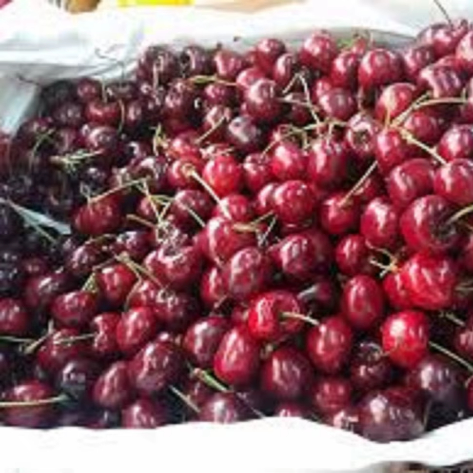 Качественная натуральная вкусная красная ферма Свежая Вишня доступна по дешевой оптовой цене