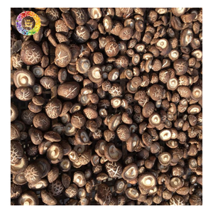 Hongos Shiitake Secos de Alta Calidad, Hongos Chinos Naturales para Exportación, Tallos de Hongos Shiitake Secos para Dieta Vegetariana - Product Image 2