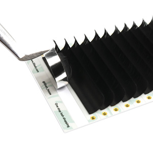 Bandejas de Pestañas de Cachemira Negra Mate, Tecnología de Desprendimiento 0.03, Extensiones de Pestañas de Volumen, Punta Natural, Suministros para Técnicos de Pestañas, Venta al por Mayor - Product Image 1