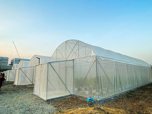 High Quality Product From Thailand Diffused <b>Film</b> (UV Protect Diffused <b>Film</b>) Uv Protect Clear Plastic <b>Film</b> For Diffuse Greenhouse - Product Image 6