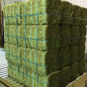 Heno Timothy Alfalfa de alta calidad para alimentación animal, precio de descuento superior para ganado de peces de perro, sellado en pacas, pellets de semillas secas - Product Image 4