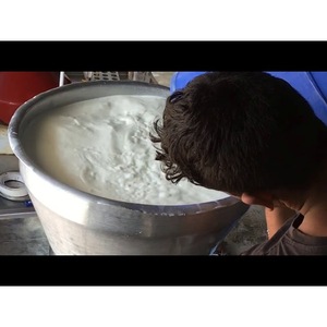 Séparateur de crème de lait automatique et semi-automatique avec pompe à moteur, composants essentiels, capacité du réservoir de 10 à 40 L pour l'industrie laitière - Product Image 2